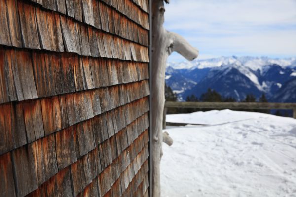 Cedar Siding Repair in Reno