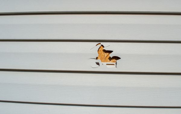 Siding Hole Patching in Reno