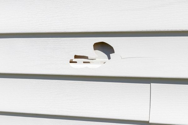 Cost of White Vinyl Siding Repair in Reno