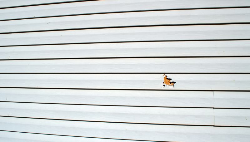 Siding Maintenance and Upkeep