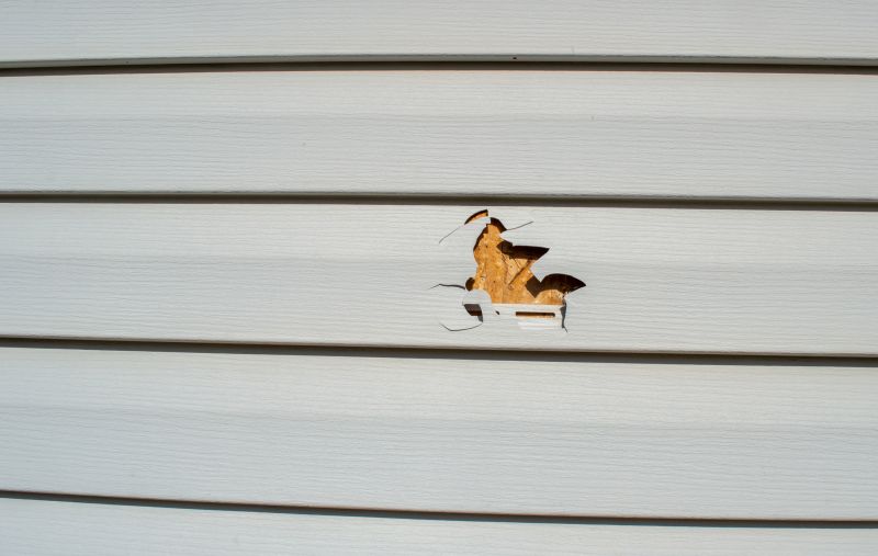 Assessing Vinyl Siding Damage