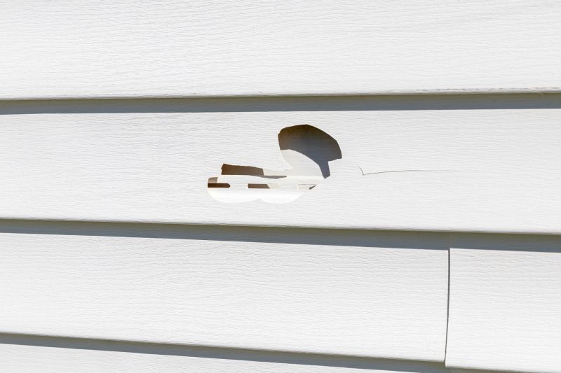 Patch Repair for Vinyl Siding